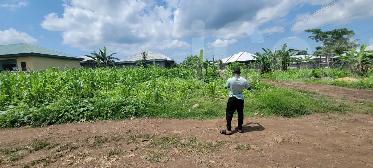 Land at very strategic locatio - Mixed-use Land - Mutengene 3