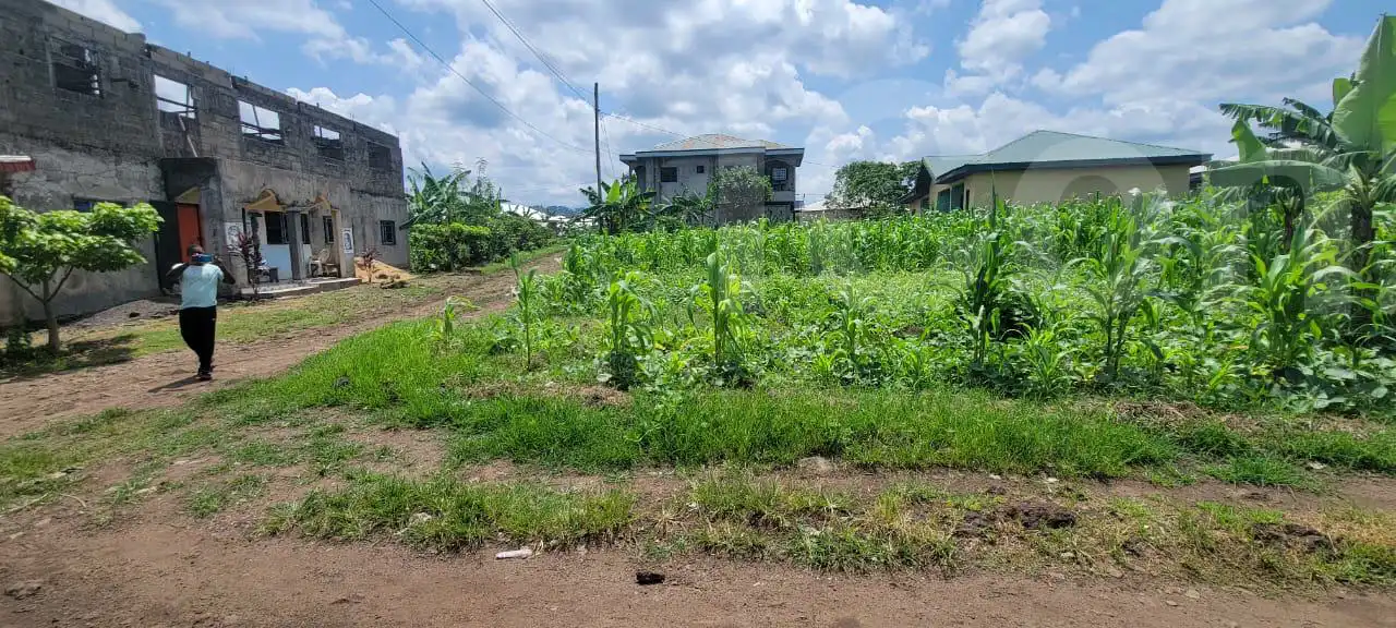 Land at very strategic locatio - Mixed-use Land - Mutengene 4