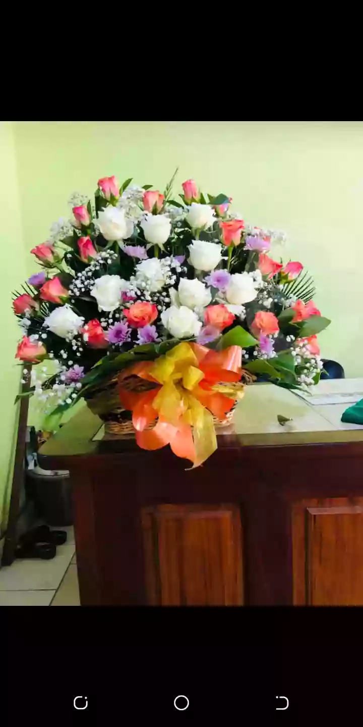 Décoration - Douala 2