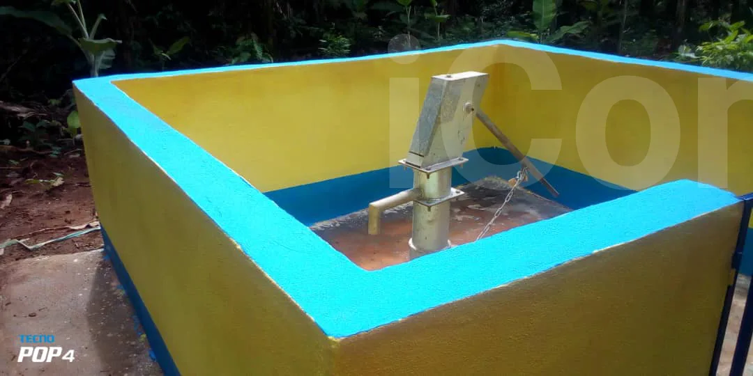 Forage, installation de pompe, - Yaounde 3