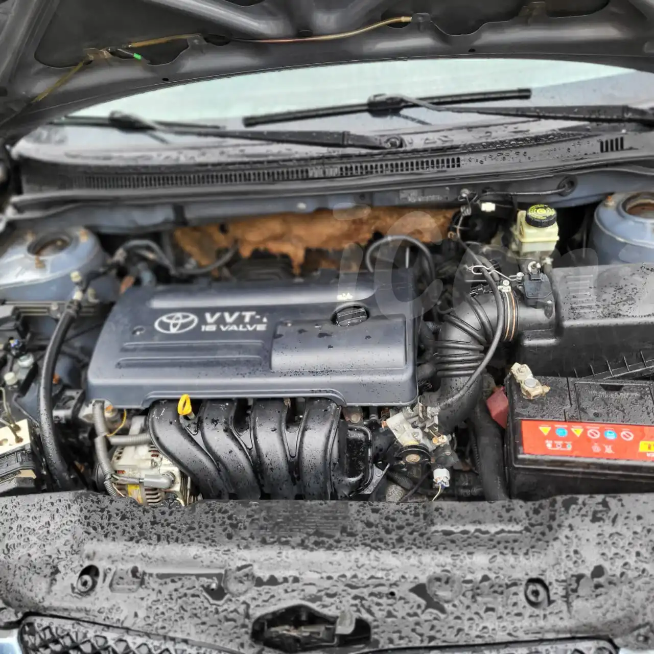 Toyota  corrola 115 - Toyota - Douala 3
