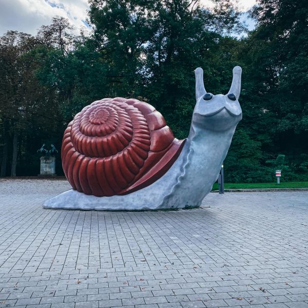 Große Schnecke