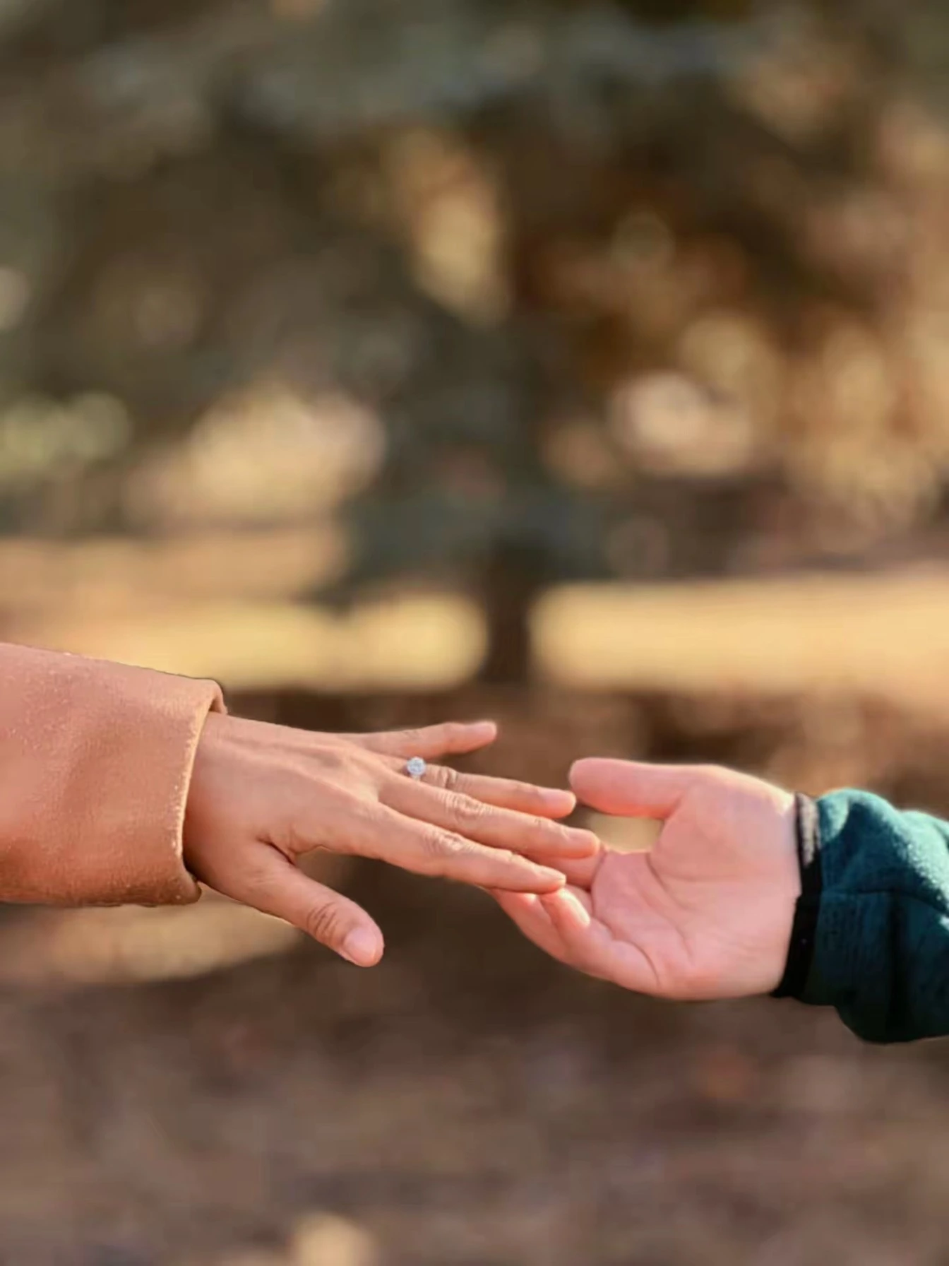 Engagement Ring Close Up