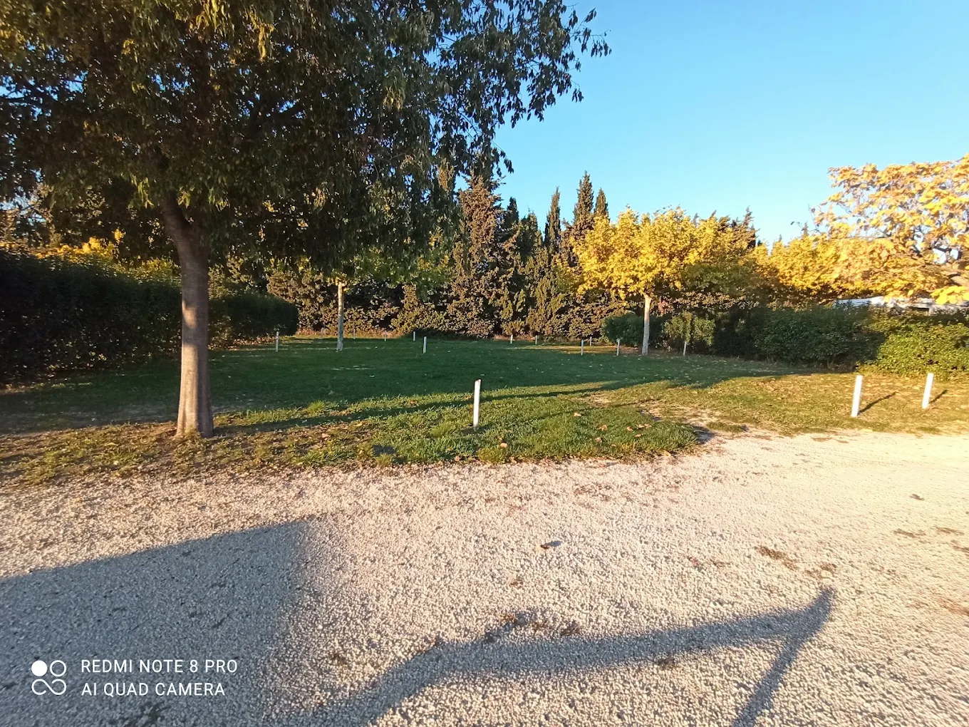 Les Cyprès – Gîte & Camping à la Ferme : photo 5 de l’hébergement