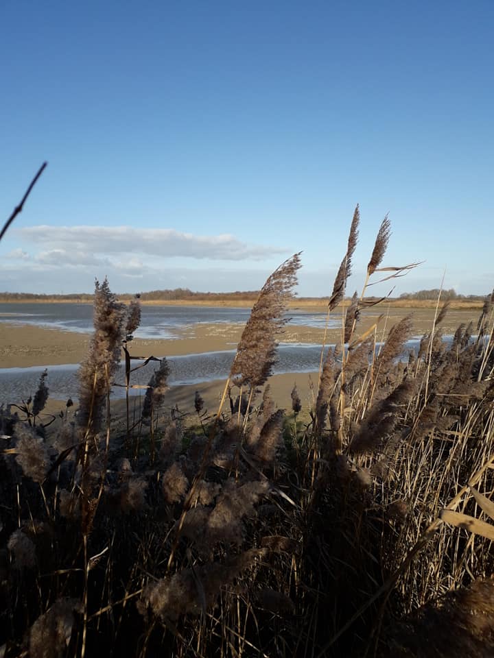 Gite du Pontet : photo 2 de l’hébergement