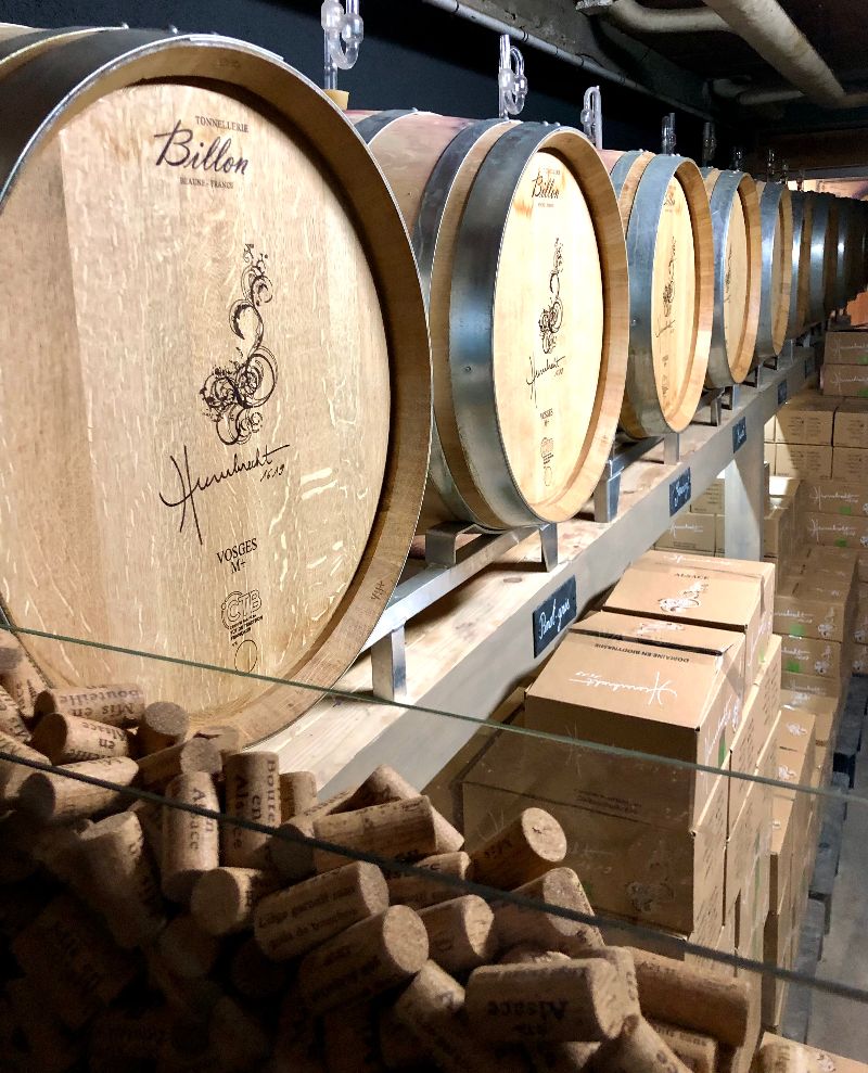 Cours d’œnologie, dégustation de 12 vins & accords mets-vins : photo 4