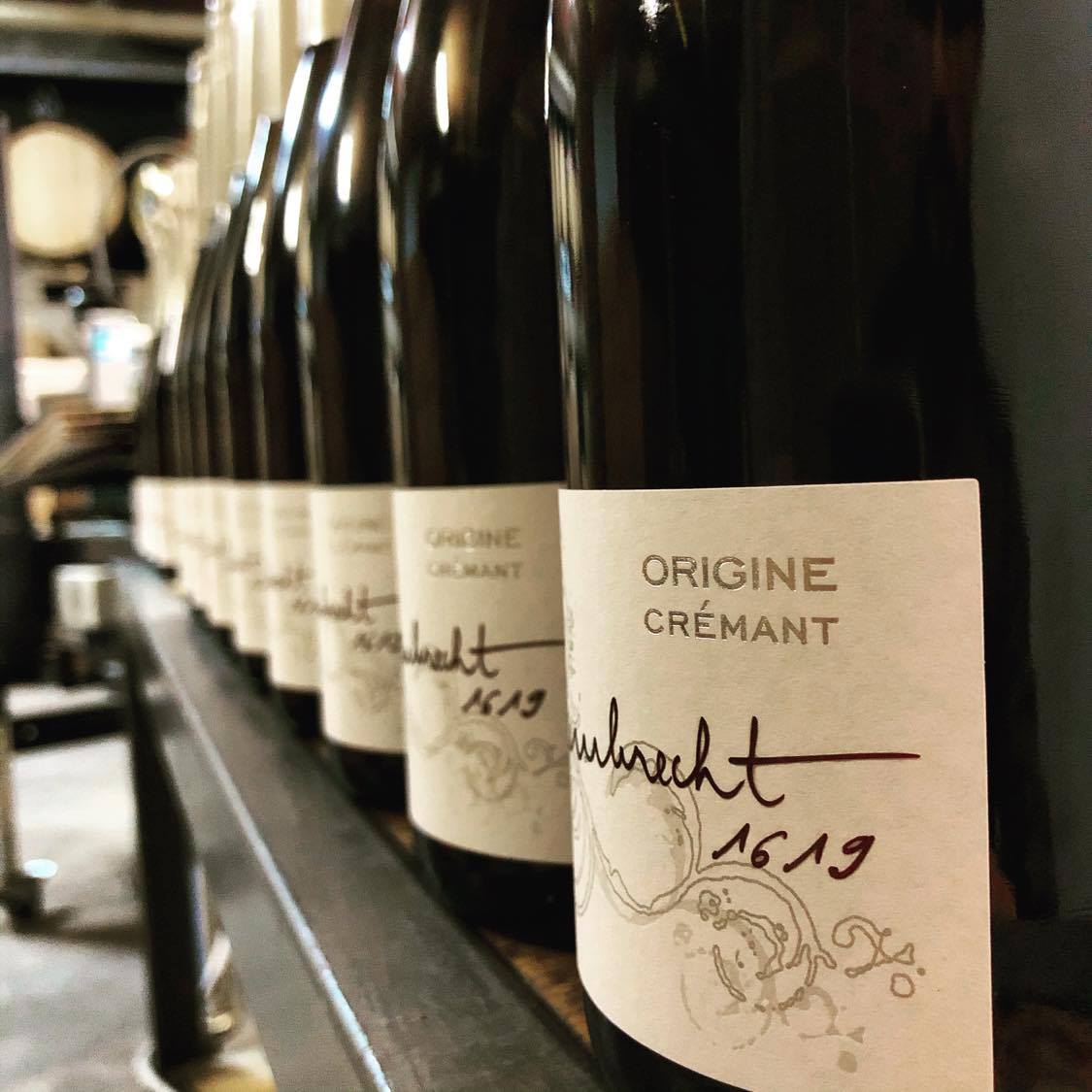 Cours d’œnologie, dégustation de 12 vins & accords mets-vins : photo 5