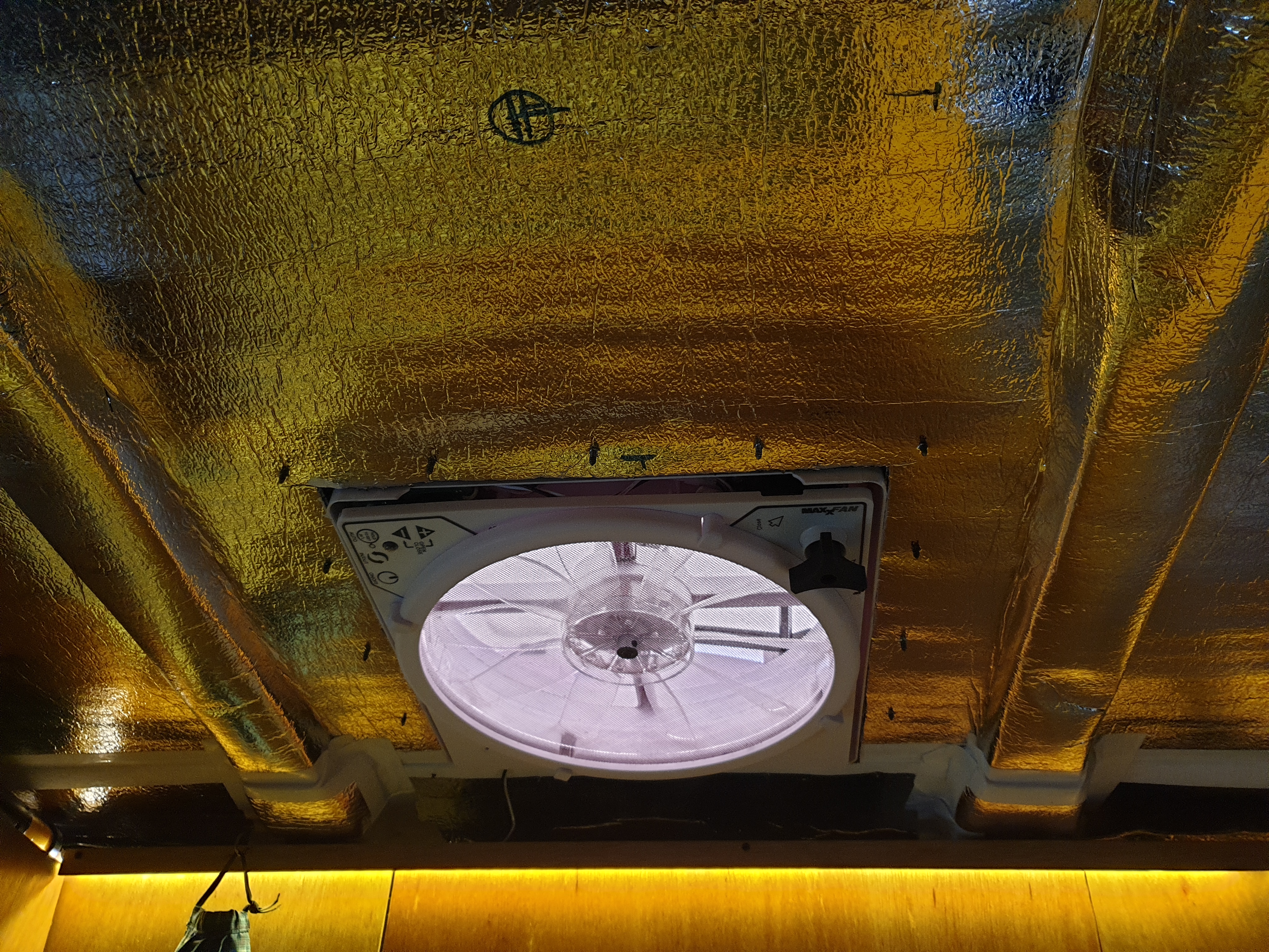 The ceiling fan