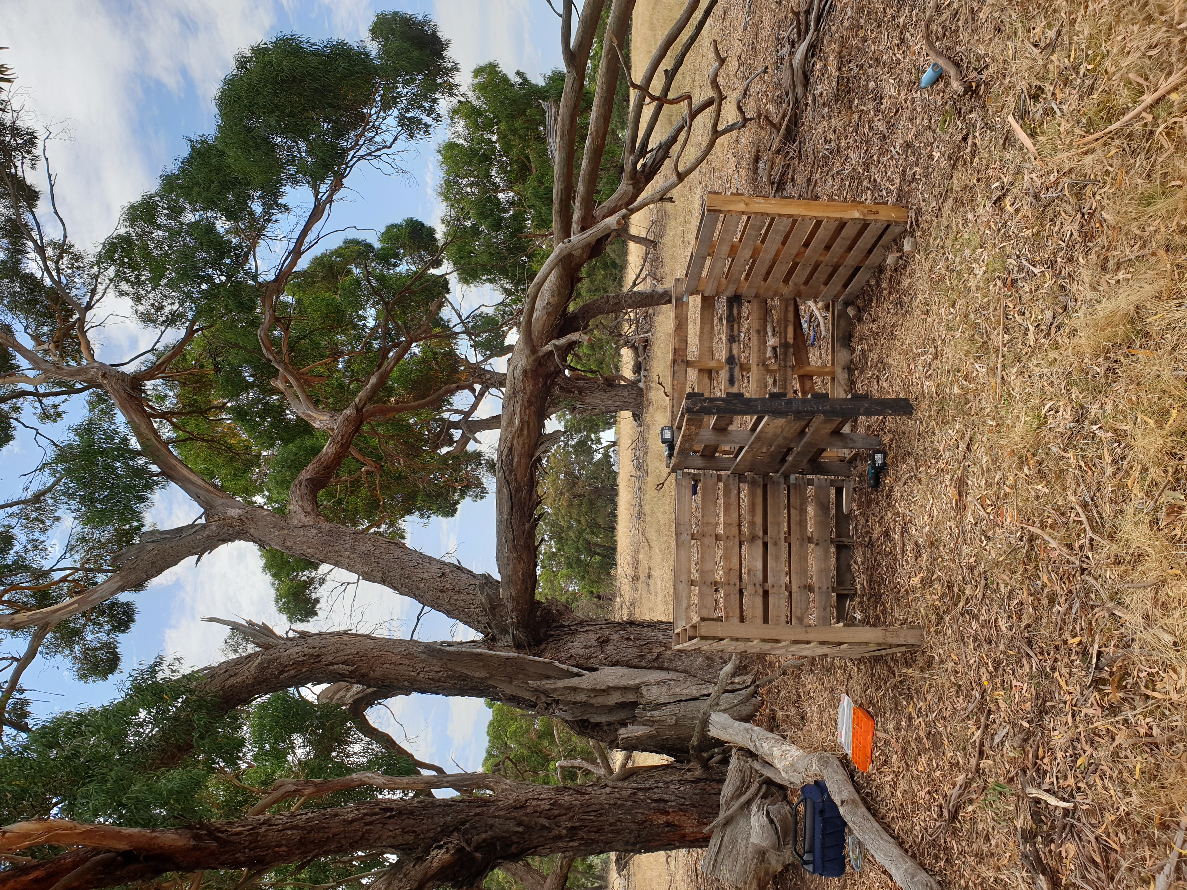 Building the first layer