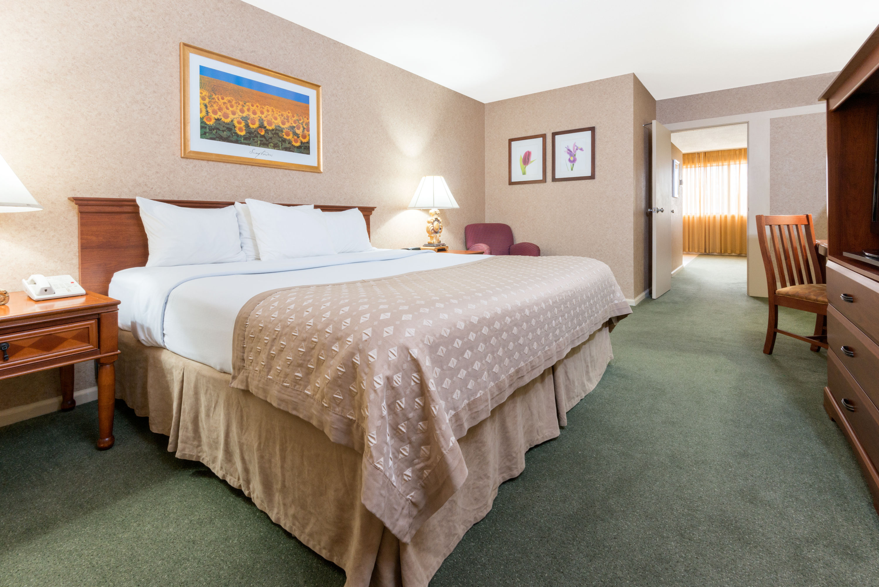 Ramada by Wyndham Topeka Downtown Hotel & Convention Center photo 5