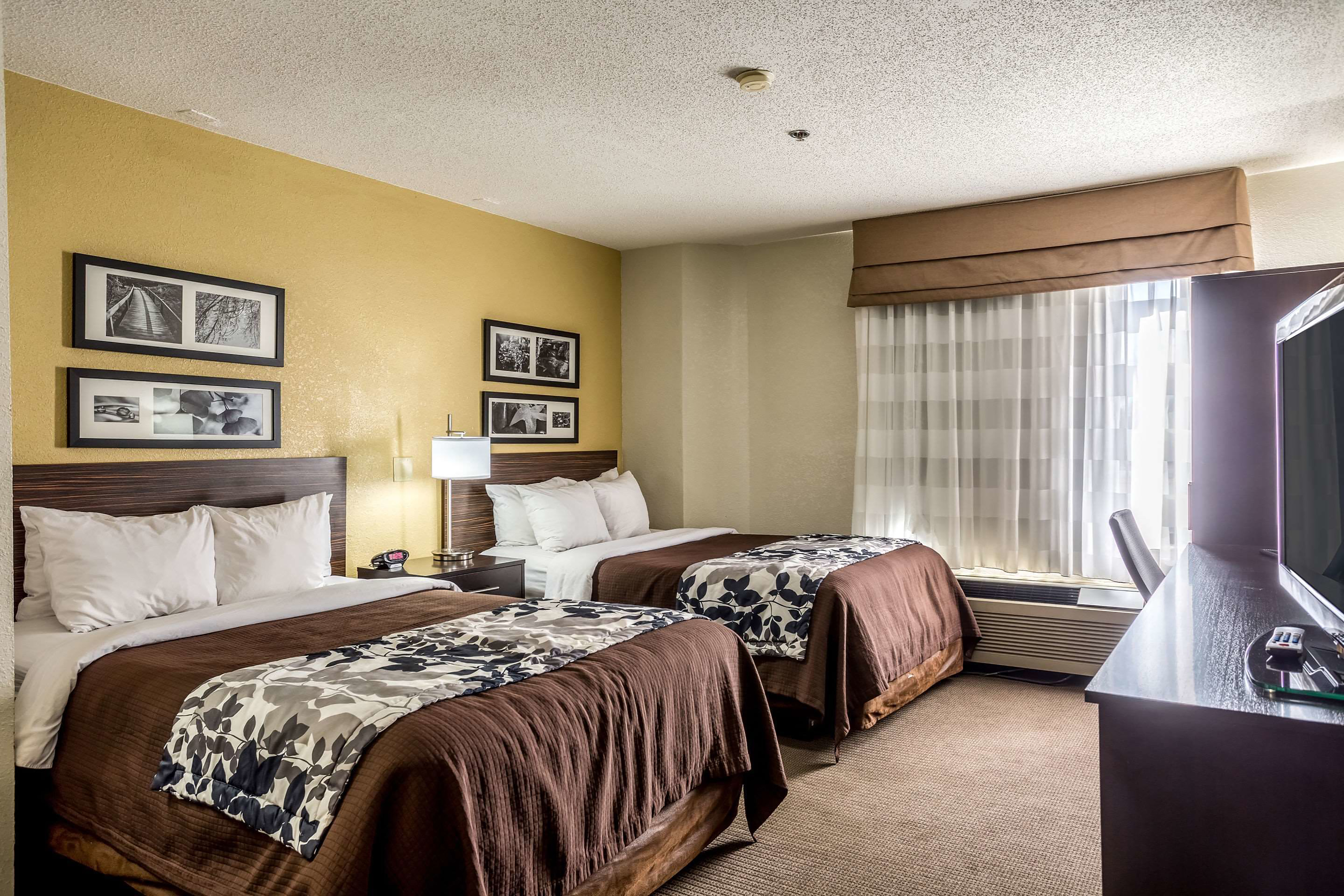 Wingate by Wyndham Owensboro photo 4