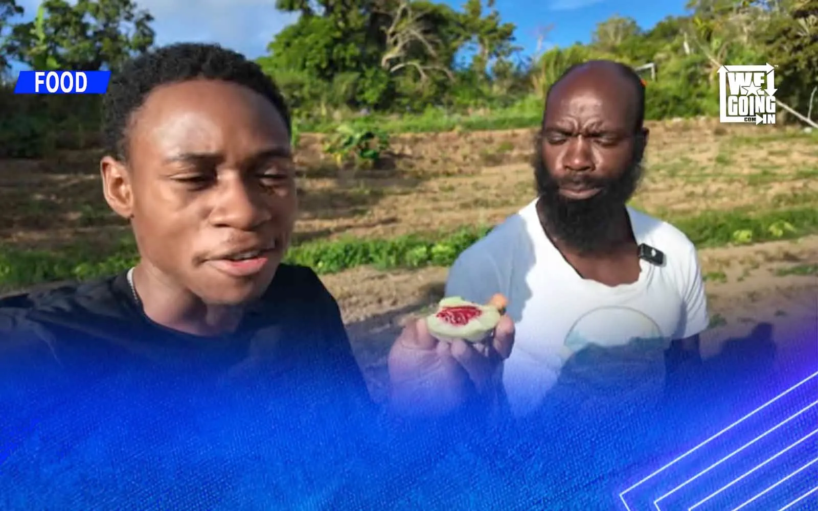 THRIVING After Fired - Man Living Off the Land in the Hills Of St Andrew JAMAICA