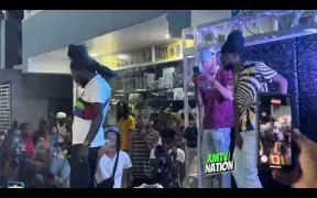 Sizzla Bun Out Fish Man Without Apology