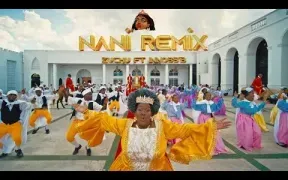 Zuchu Ft Innoss'B - Nani Remix (Official Music Video)
