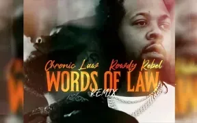 Chronic Law ft. Rowdy Rebel - Words Of law (Remix) 