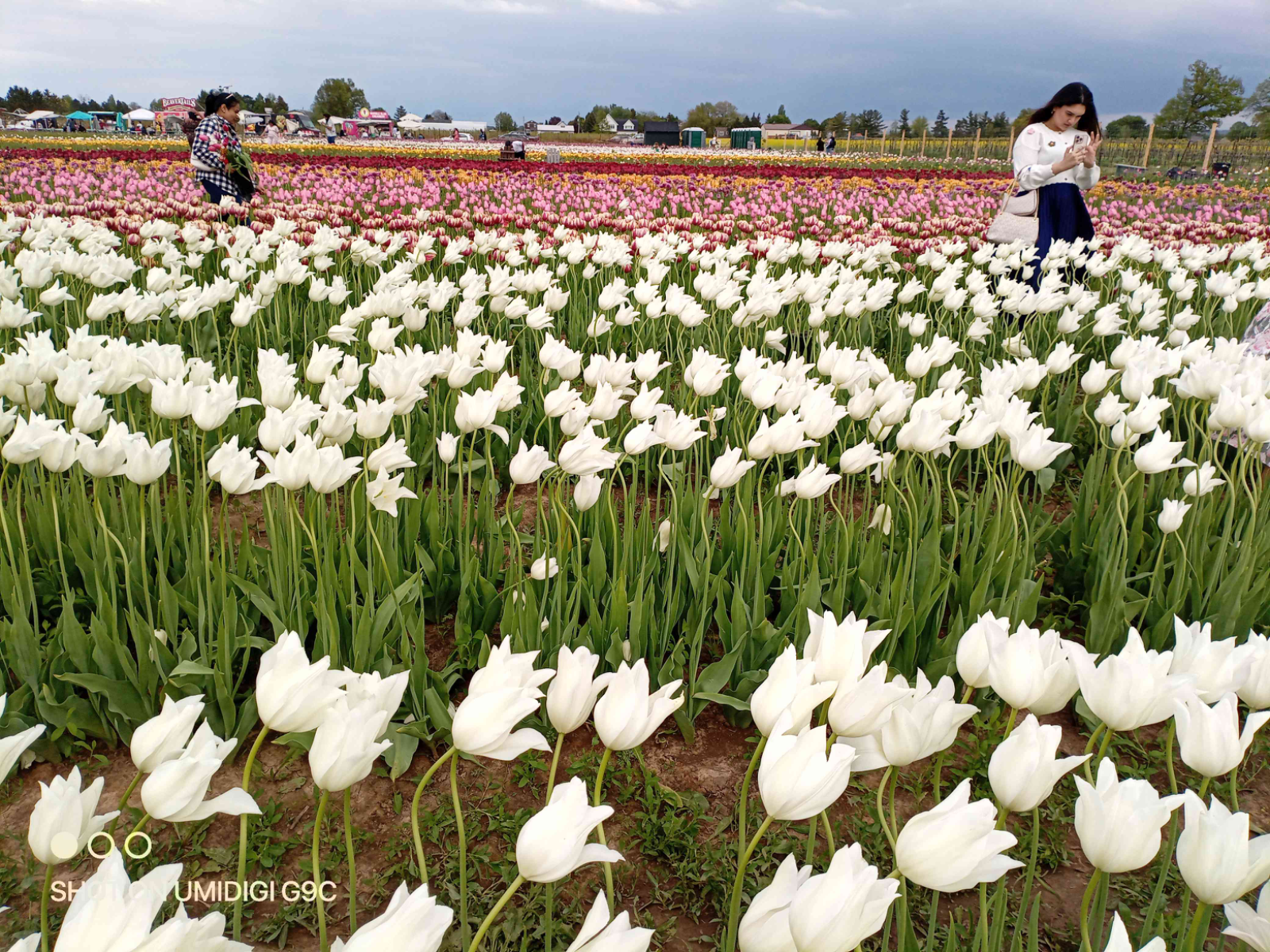 5月17号TASC农场