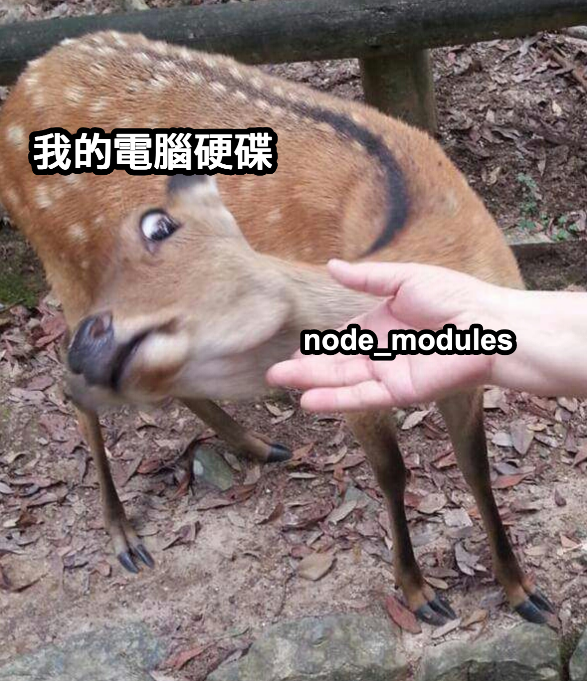 node_modules