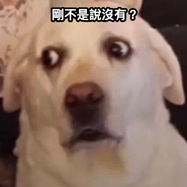 你不是說沒有？