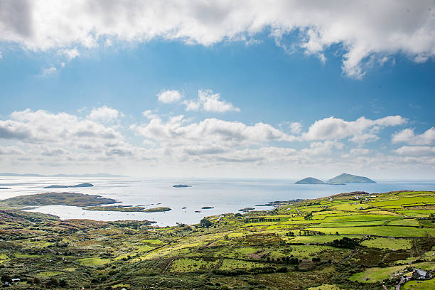 Incentives and supports for innovative start-ups and SMEs in the Gaeltacht