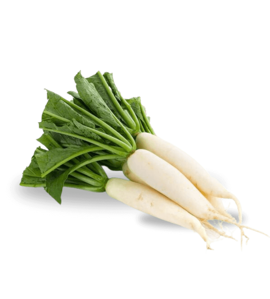 White radish