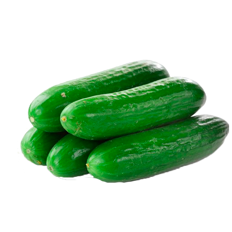 Cucumber