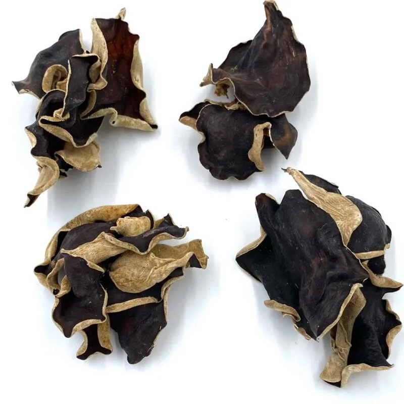 Wood-Ear Mushroom
