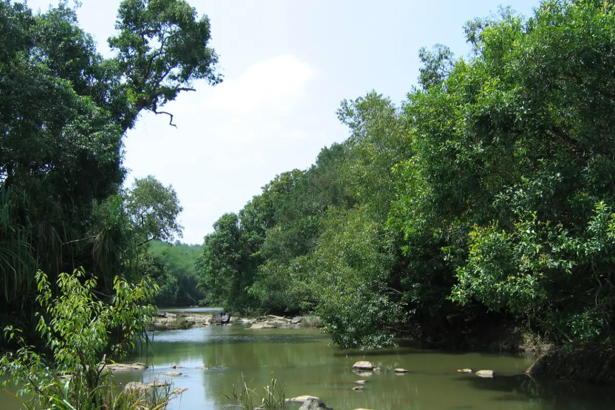Kuruva Island (Kuruvadweep), Wayanad: Complete Visitor Guide