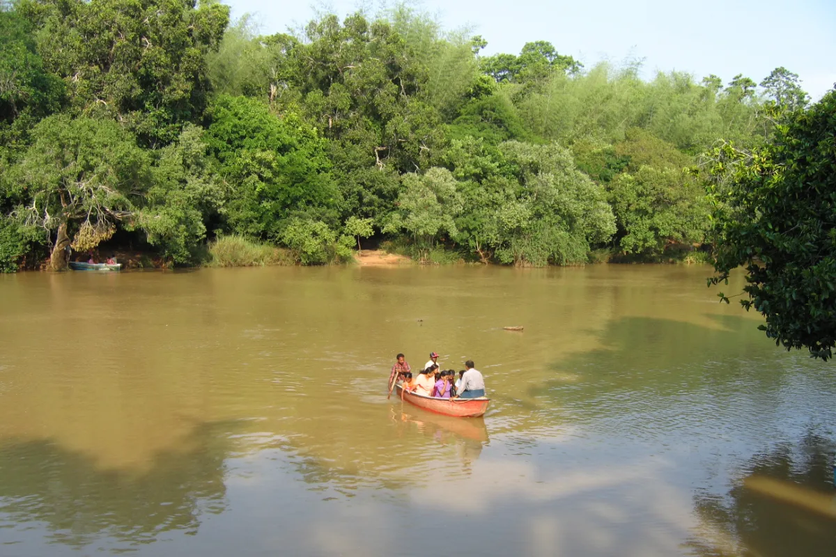 Kuruva Island (Kuruvadweep), Wayanad: Complete Visitor Guide