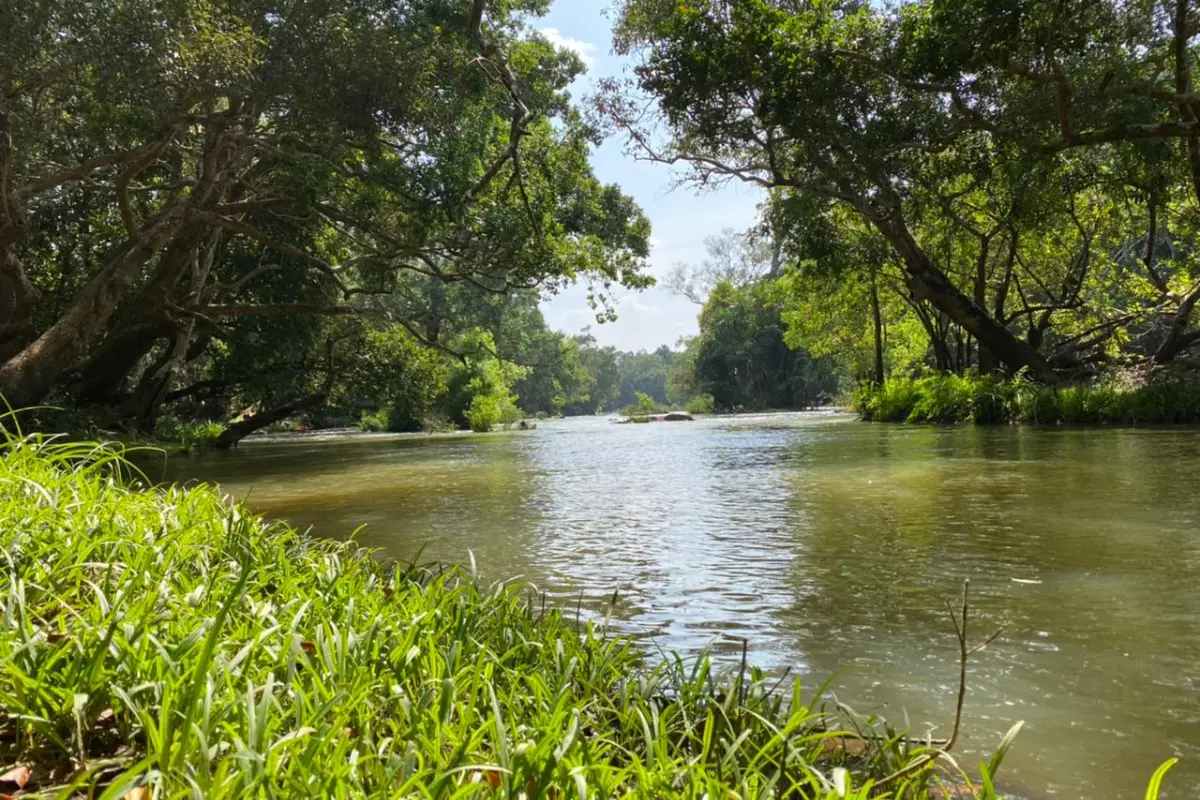 Kuruva Island (Kuruvadweep), Wayanad: Complete Visitor Guide