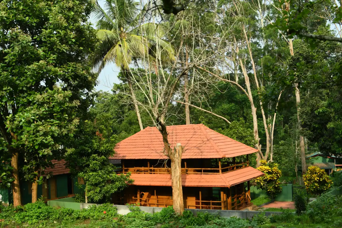 Muthanga Wildlife Sanctuary, Wayanad: Safari, Timings and Entry Fee