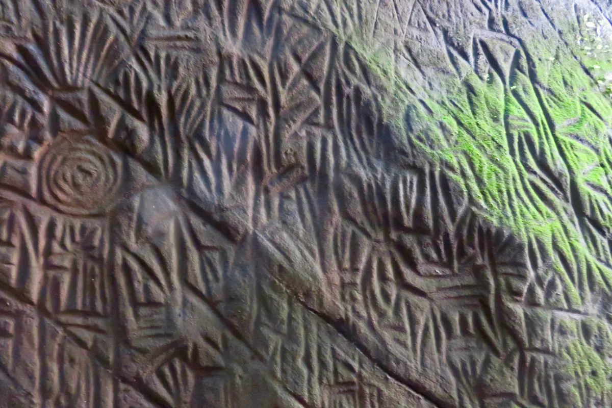 Edakkal Caves | Wayanad, Kerala
