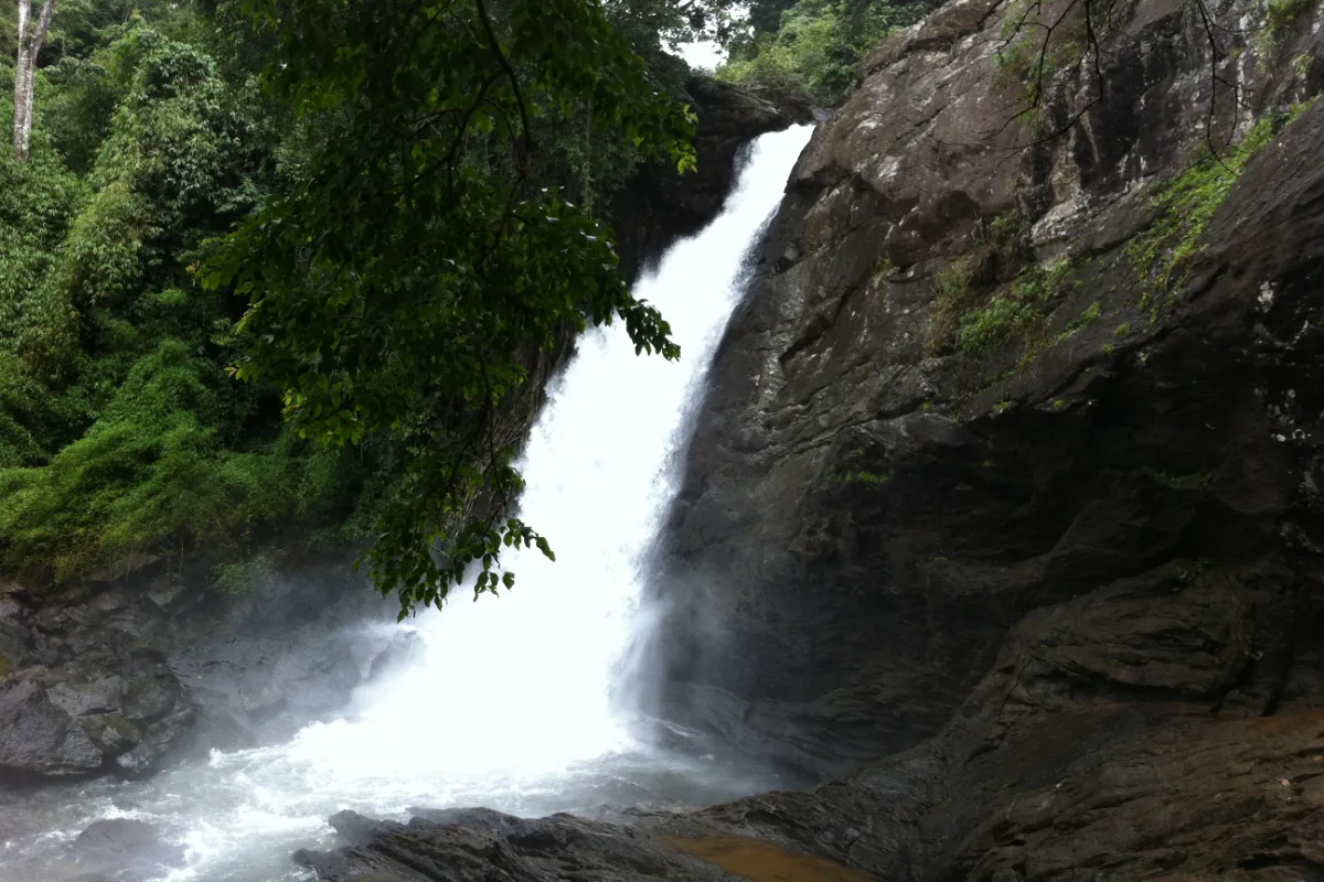 Soochipara Waterfalls, Wayanad