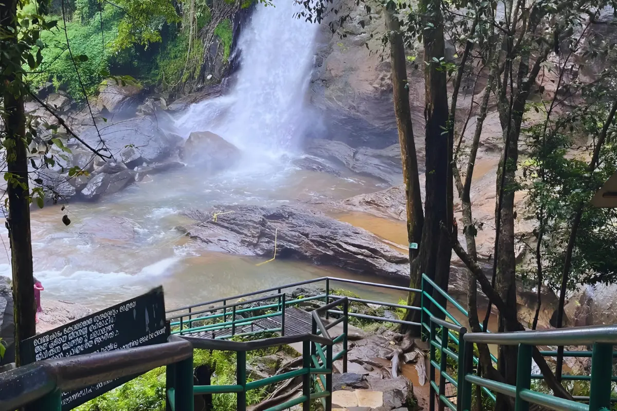 Soochipara Waterfalls, Wayanad