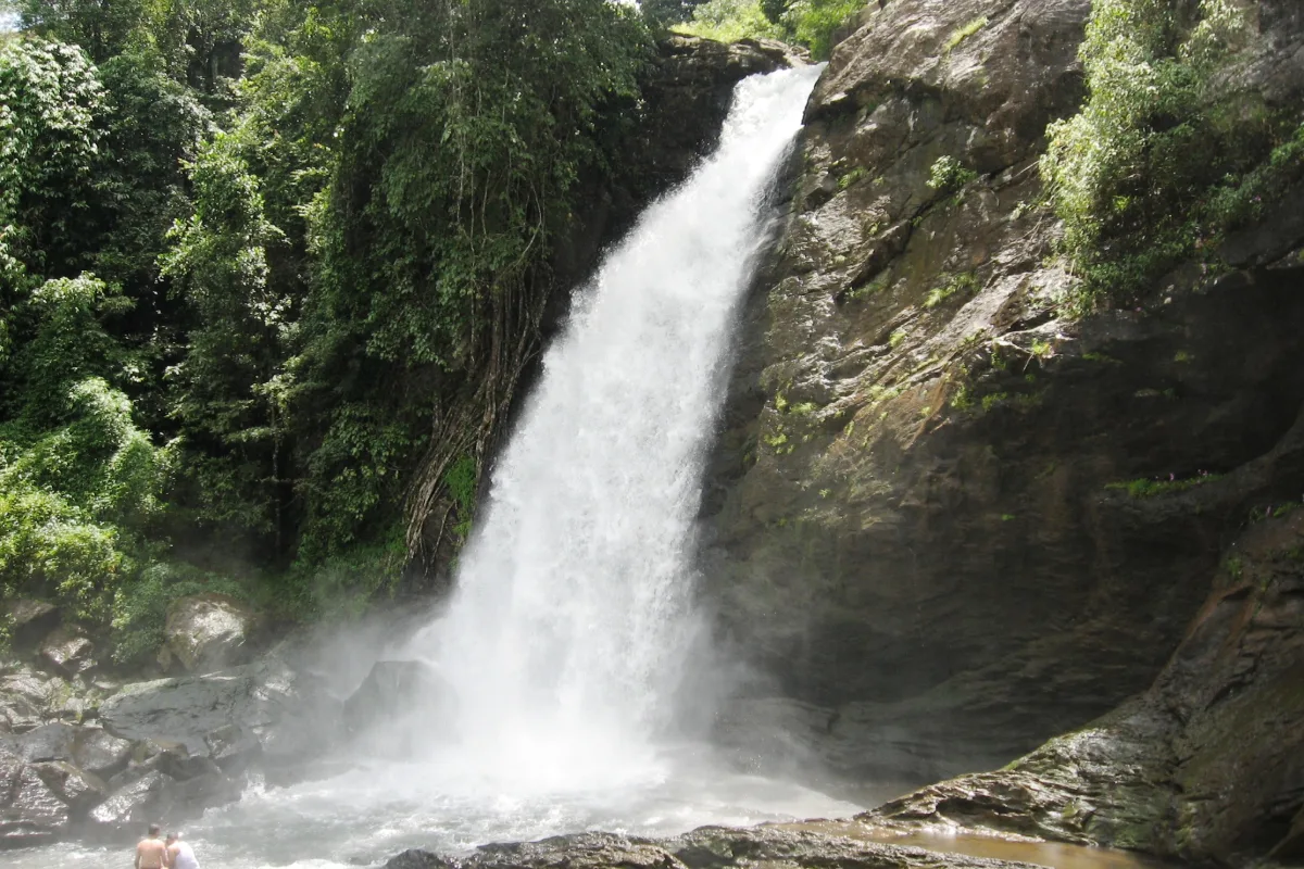 Soochipara Waterfalls, Wayanad
