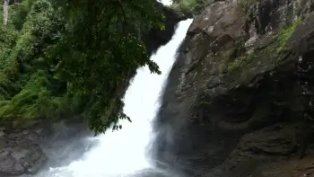 Soochipara Waterfalls, Wayanad