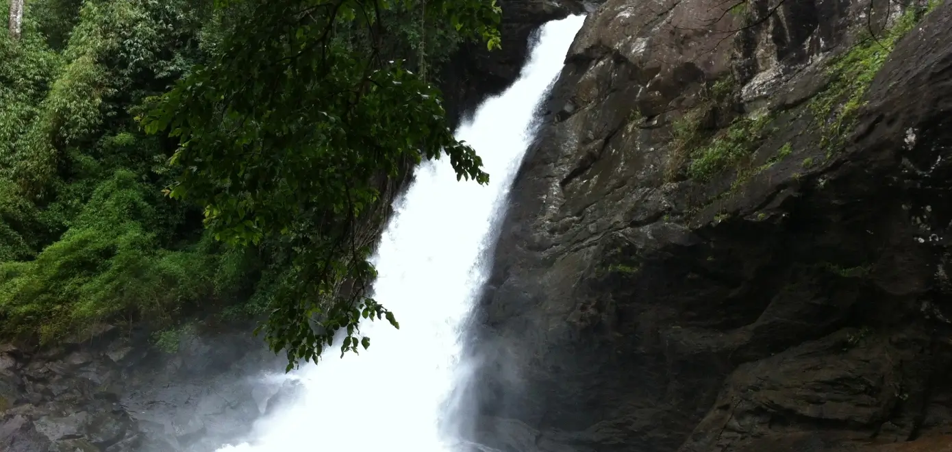 Soochipara Waterfalls, Wayanad