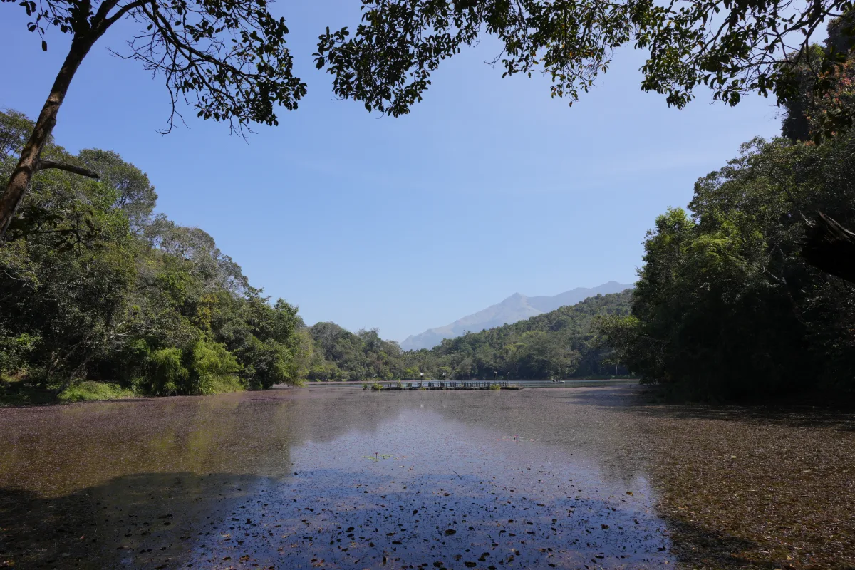 Pookode Lake, Wayanad: Timings, Entry Fee, Boating and Visitor Guide