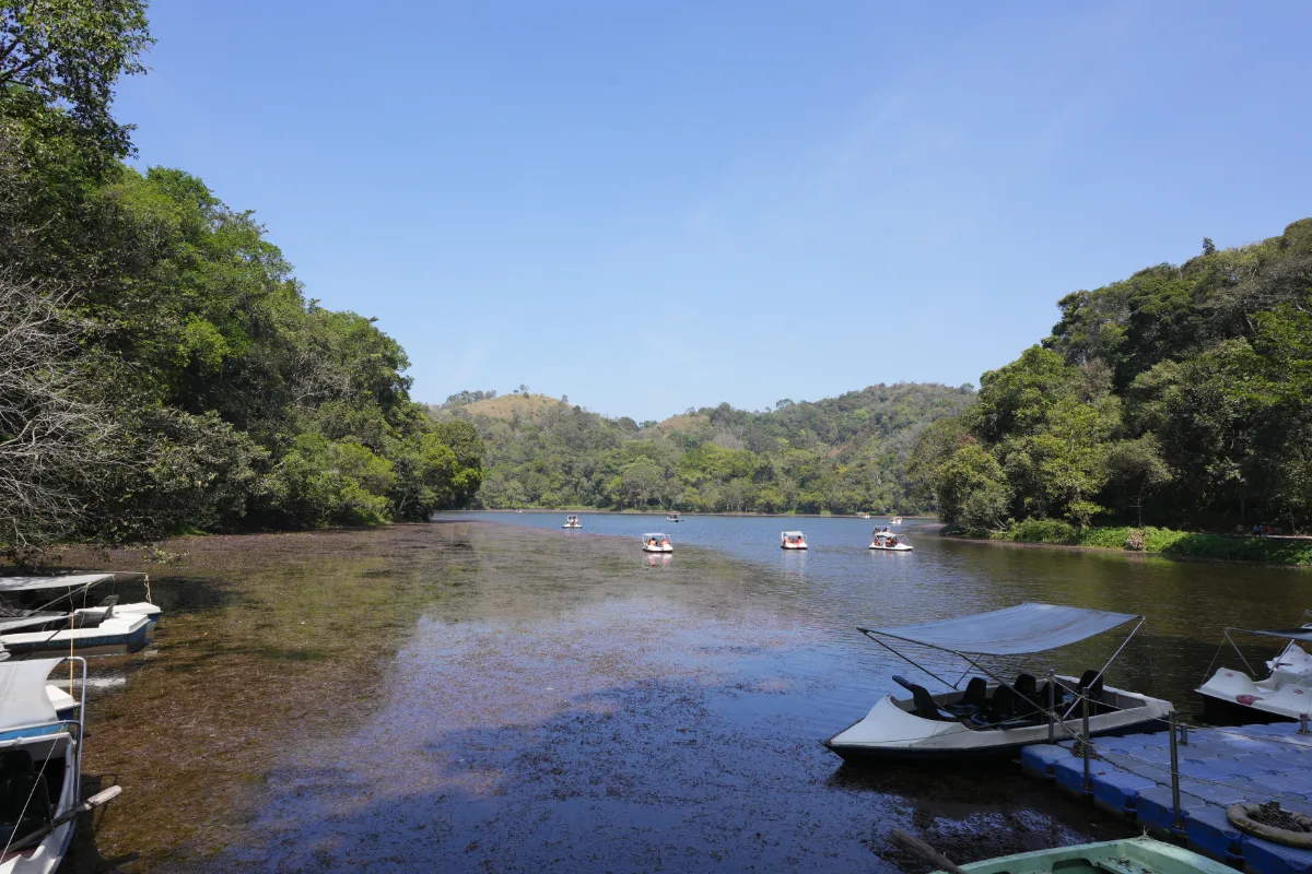 Pookode Lake, Wayanad: Timings, Entry Fee, Boating and Visitor Guide