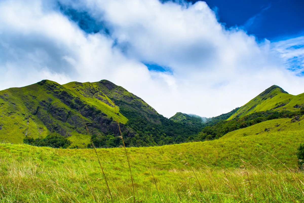 Chembra Peak, Wayanad