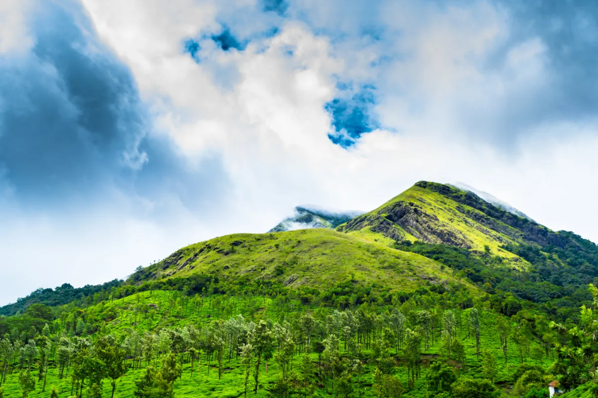 Chembra Peak, Wayanad
