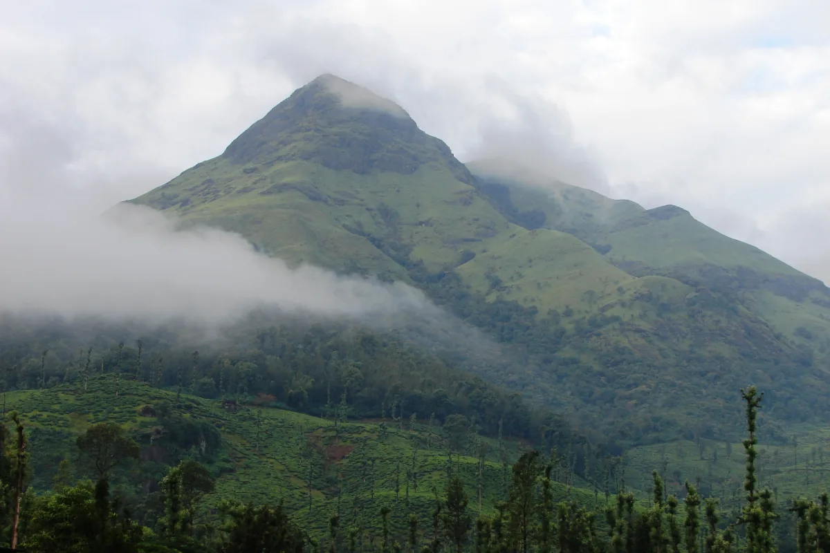 Chembra Peak, Wayanad