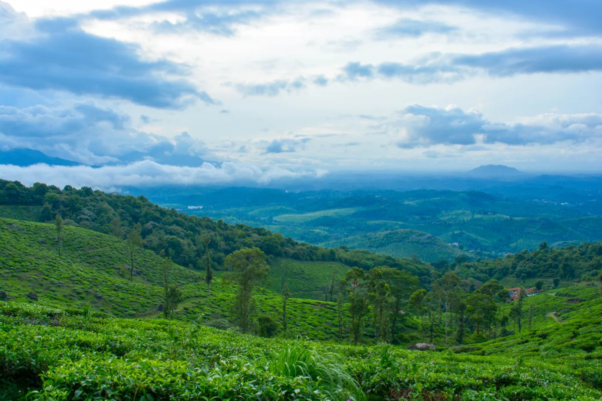 Chembra Peak, Wayanad