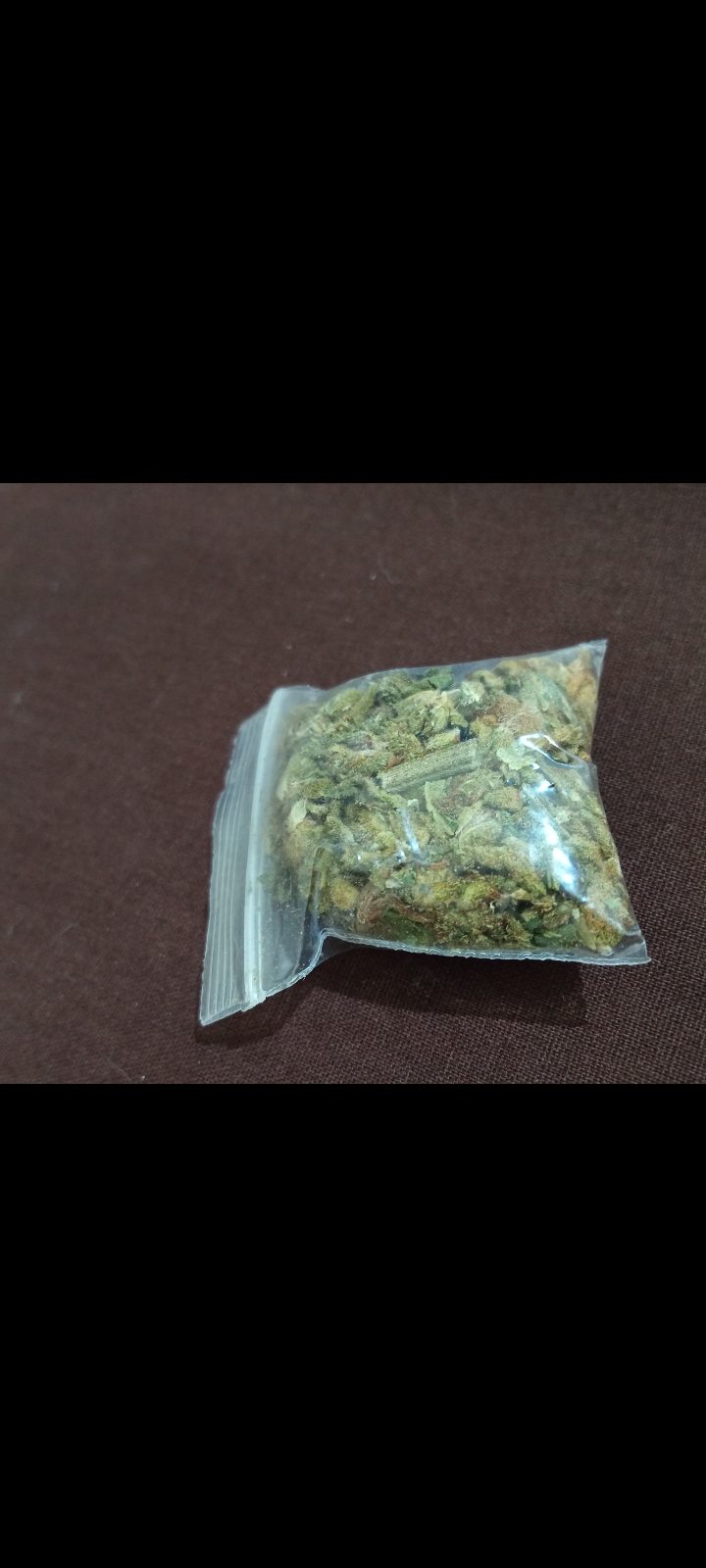 Skunk(1g)