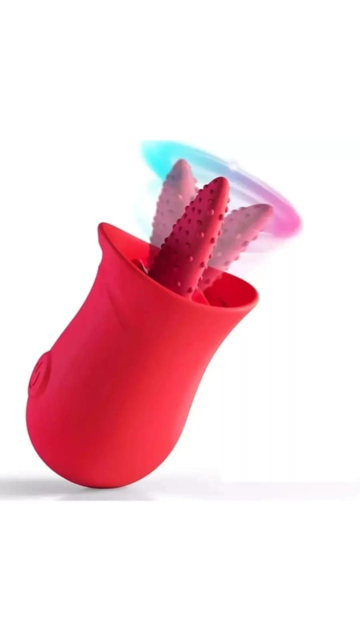 Vibrator 