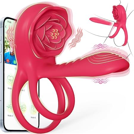 Vibrator 