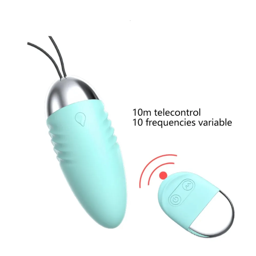 Vibrator with remote 