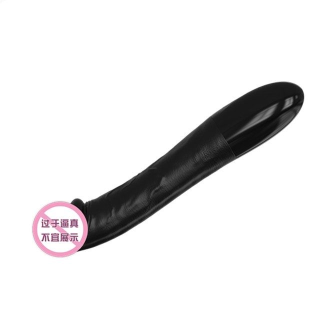 Vibrator 