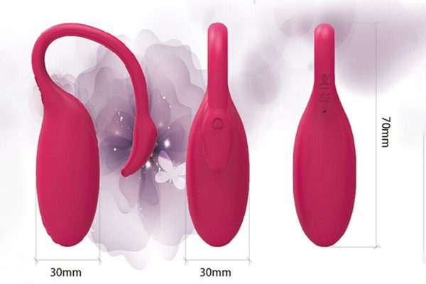 Flamingo apps control vibrator 