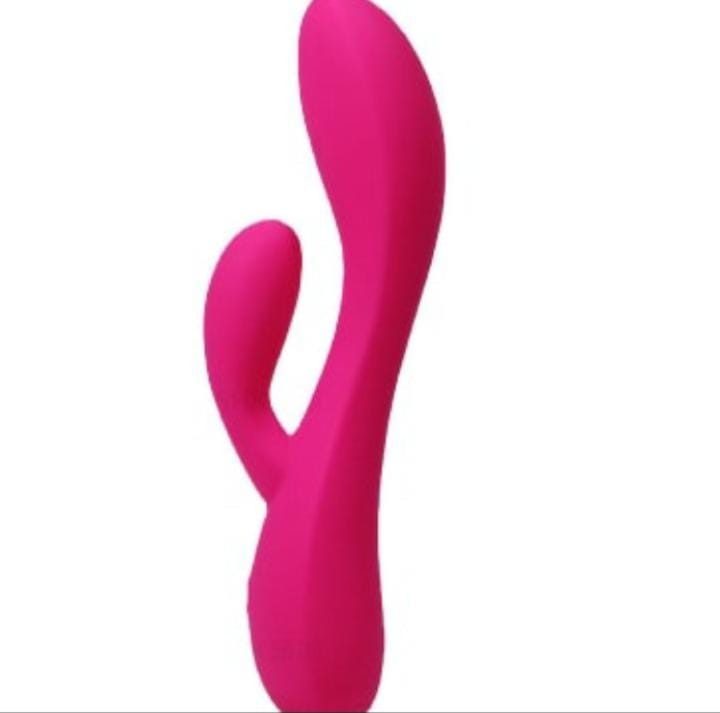 Vibrator 
