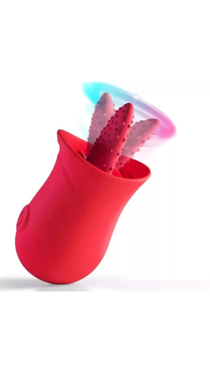 Vibrator 